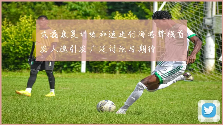 武磊康复训练加速进行海港锋线首发人选引发广泛讨论与期待